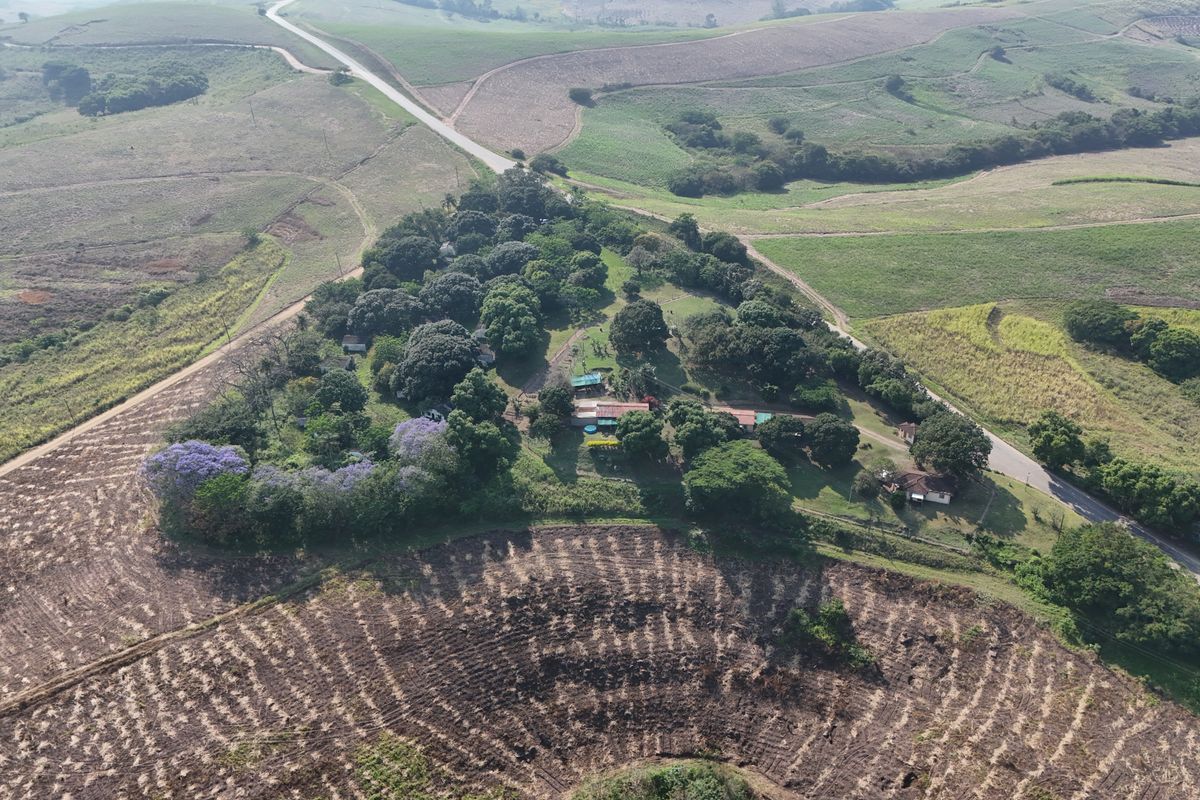 Strategic Investment: Farm Area Rezoned for Residential Growth - Photo 5