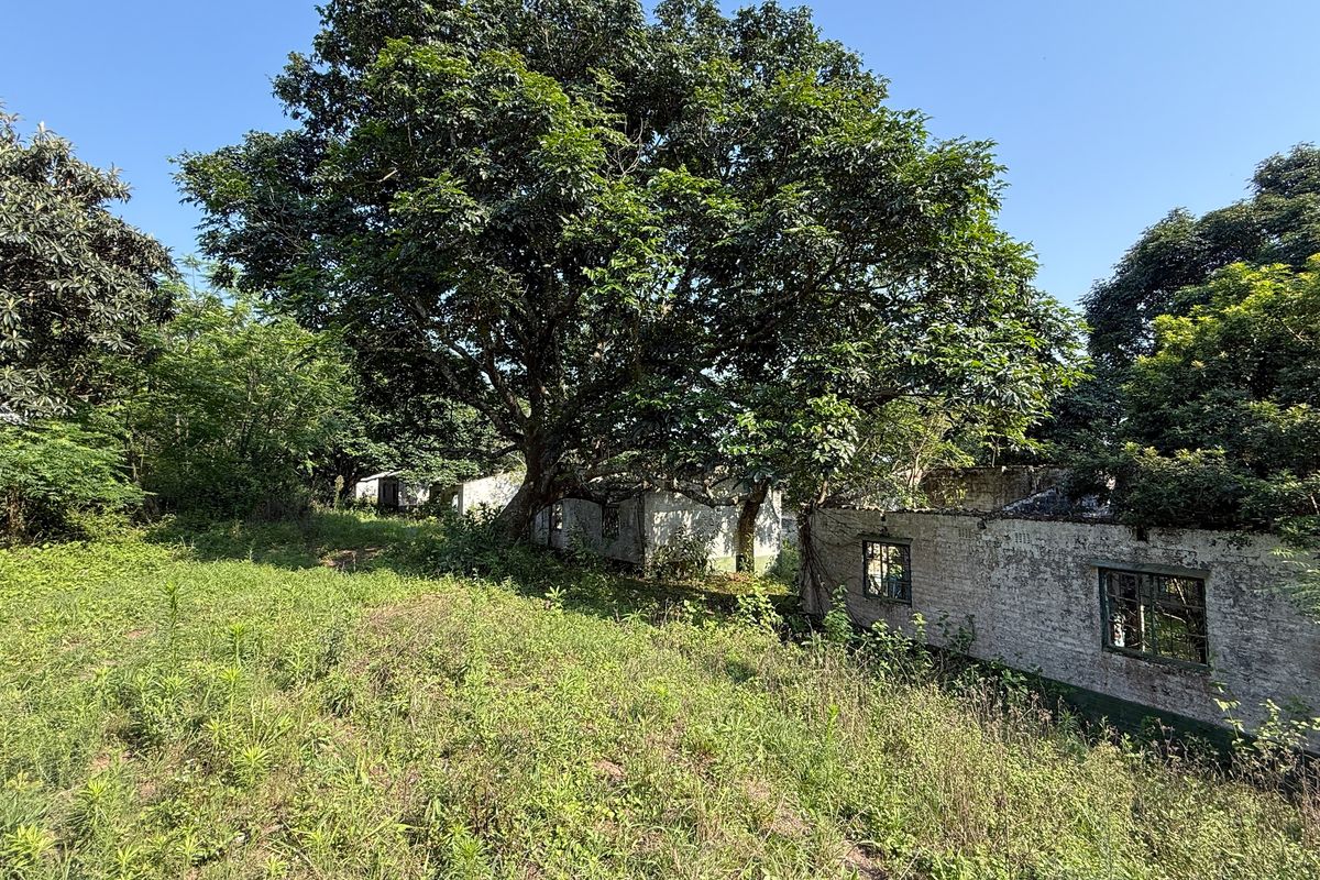 A dilapidated brick structure on a farm property, showing significant signs of decay and structural neglect, surrounded by overgrown vegetation and mature trees.