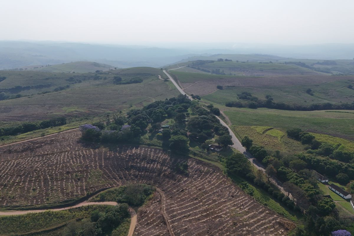 Strategic Investment: Farm Area Rezoned for Residential Growth - Photo 4