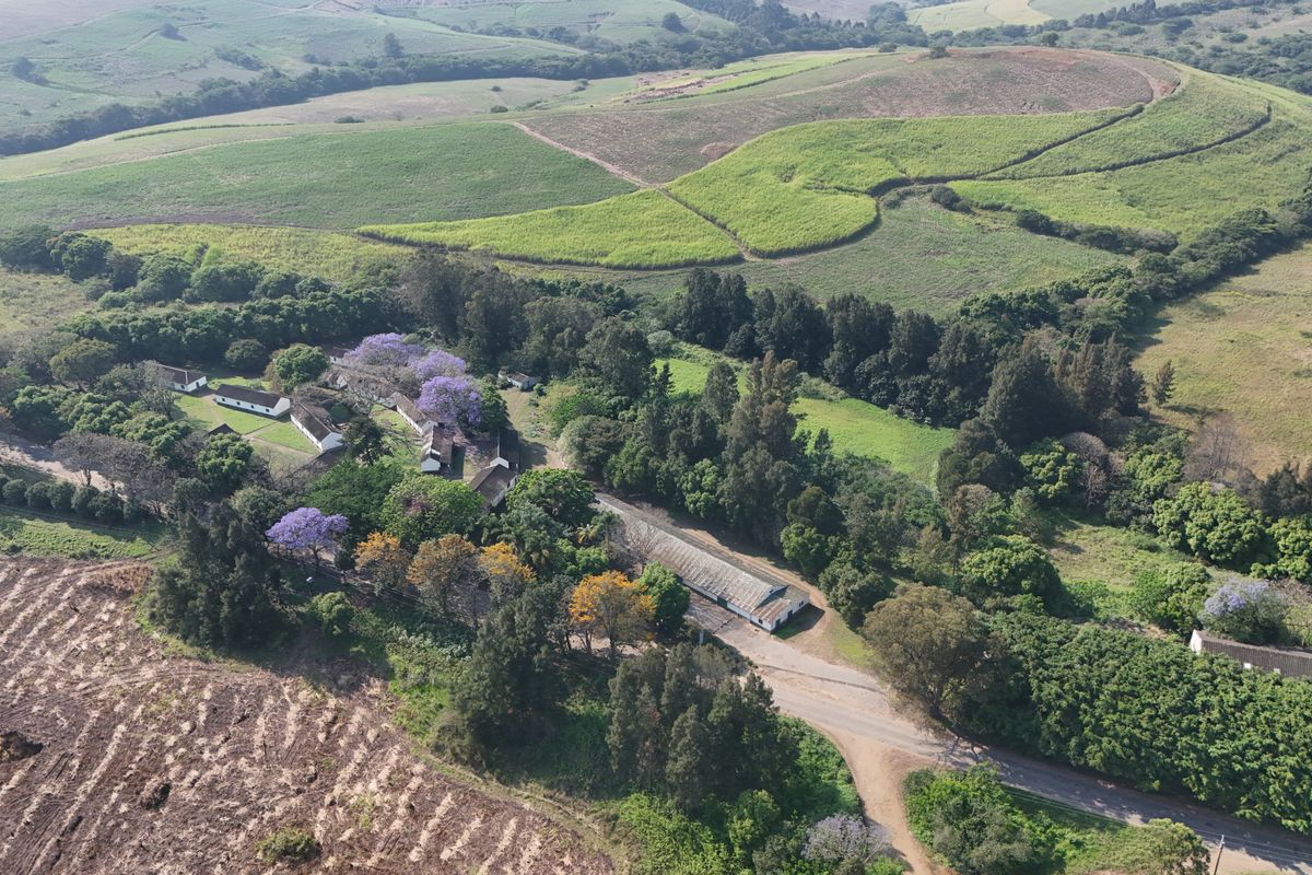 Strategic Investment: Farm Area Rezoned for Residential Growth - Photo 3