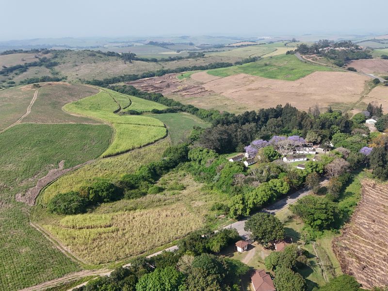 Aerial view of a rural farm property featuring multiple buildings nestled among mature trees and surrounded by expansive agricultural fields and rolling hills.