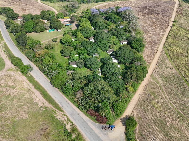 Aerial view of a large farm property featuring multiple structures nestled within mature trees, surrounded by expansive agricultural fields and access roads.