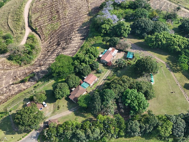 Aerial view of a rural farm property featuring multiple residential buildings, mature trees, and expansive surrounding land.