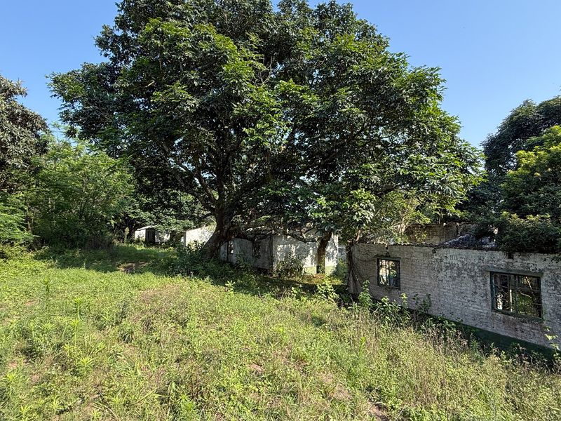 A dilapidated brick structure on a farm property, showing significant signs of decay and structural neglect, surrounded by overgrown vegetation and mature trees.
