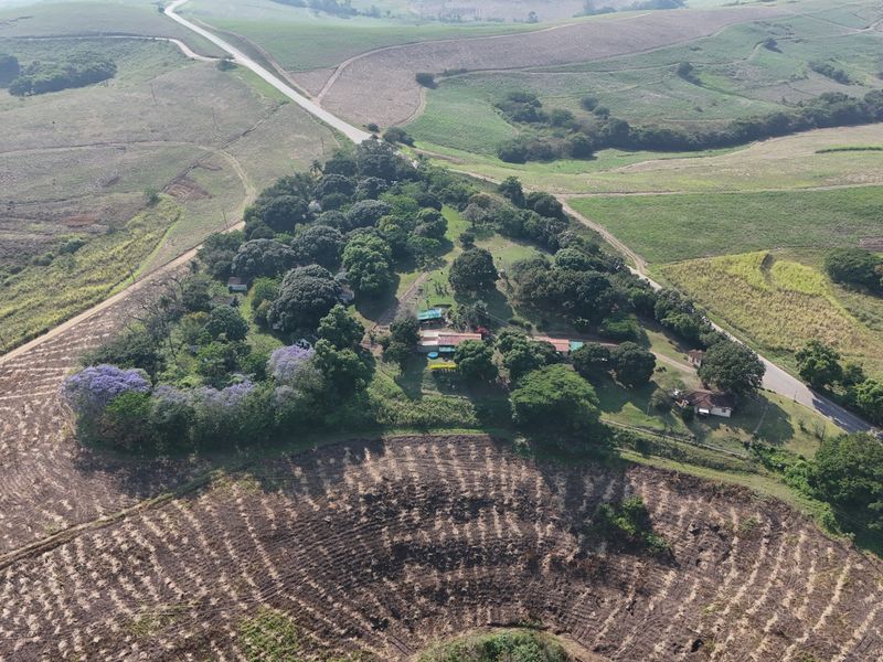 Aerial view of a farm property featuring multiple structures nestled within a mature treed landscape, surrounded by expansive agricultural fields and rural access roads.