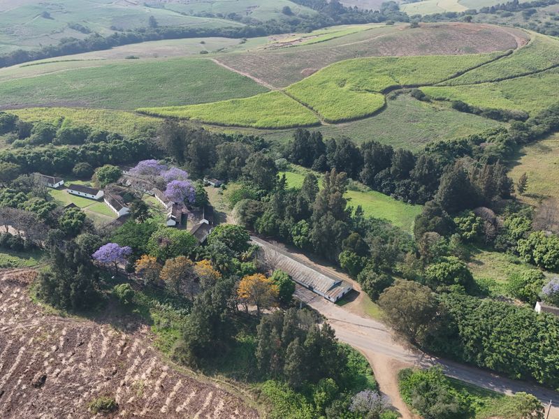 Aerial view of a rural farm property featuring multiple outbuildings, mature trees, and surrounding agricultural land.