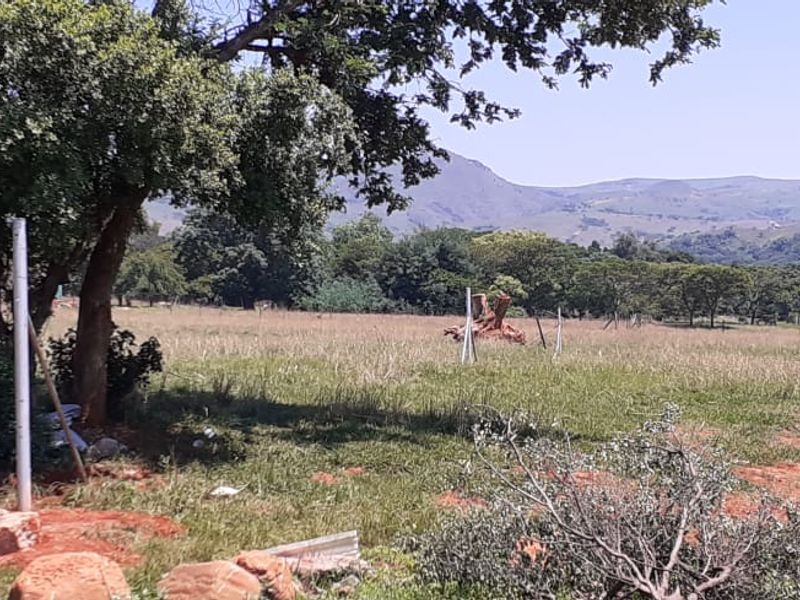 Expansive rural landscape view featuring open grazing land, mature trees, and distant mountain ranges, suitable for agricultural or lifestyle development.