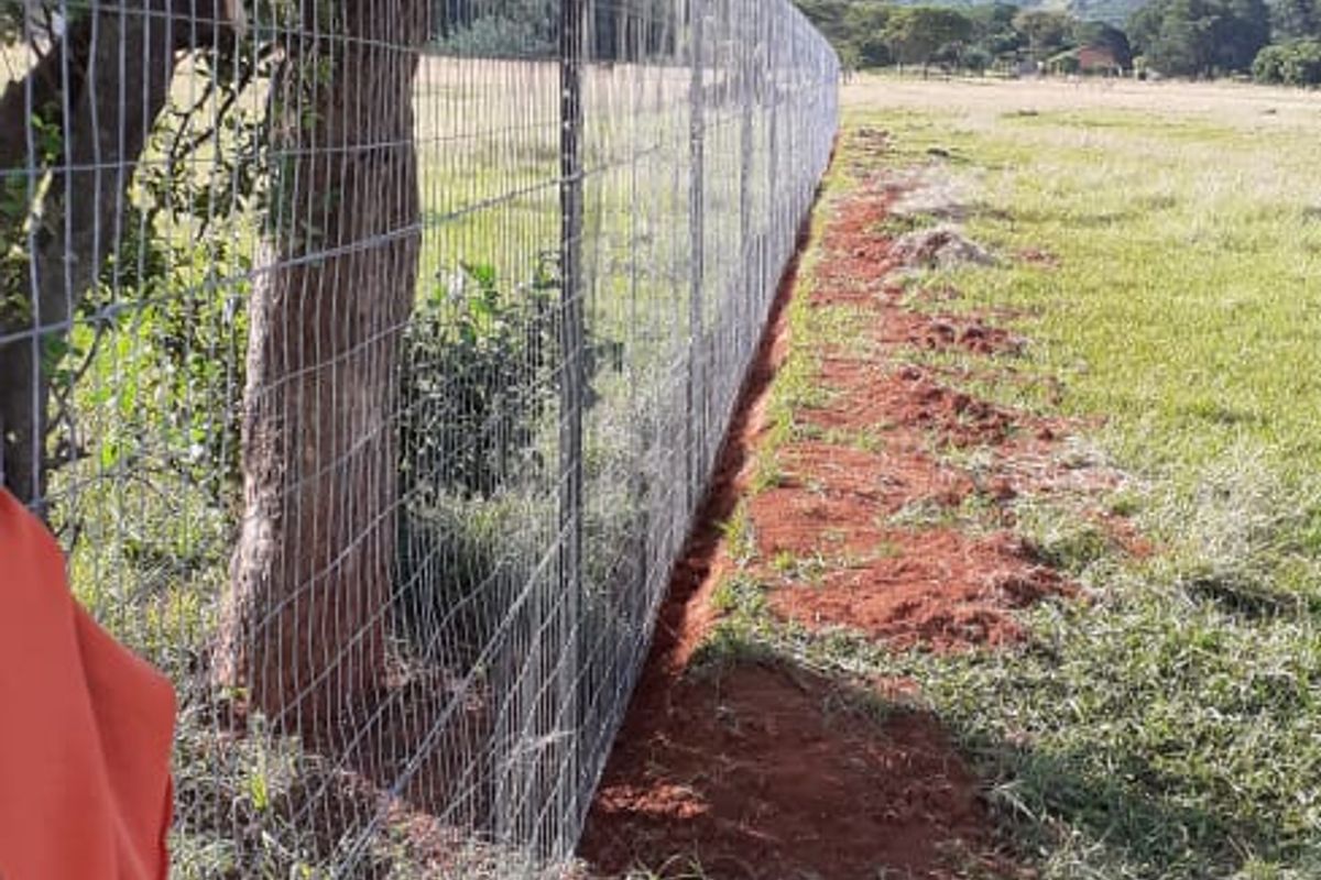 A view of the farm perimeter featuring newly installed wire mesh fencing and metal posts along the grassy field.