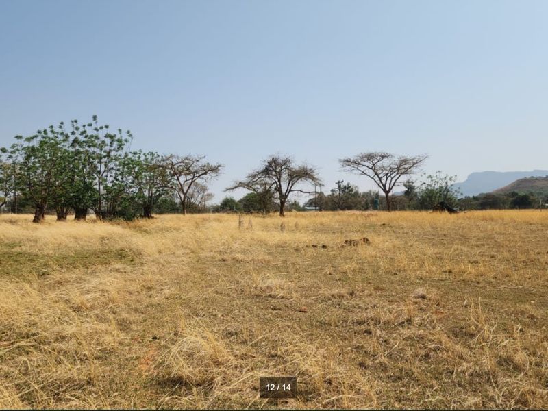 Expansive open field area on the farm property featuring natural grass, scattered mature trees, and distant mountain views.