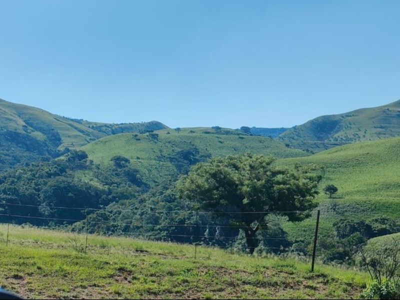 A scenic view of rolling green hills and natural landscape on a farm property.