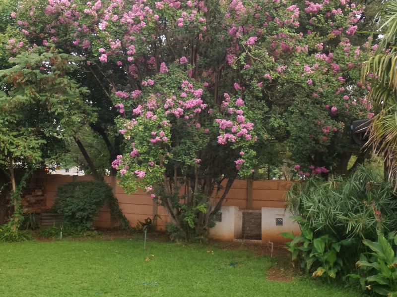 This large, business-zoned property in the heart of Meyerton presents an exceptional opportunities. - Photo 7