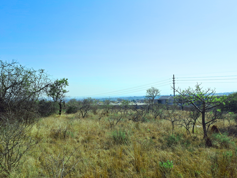 A view of a vacant commercial land plot featuring native vegetation and overhead power lines against a clear blue sky.