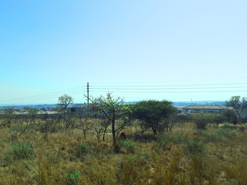 A view of a vacant commercial land plot featuring natural vegetation, surrounding residential properties, and overhead power lines.