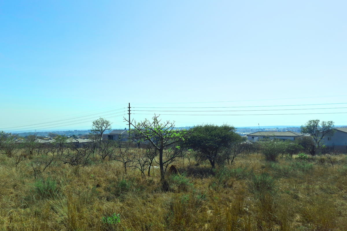 A view of a vacant commercial land plot featuring natural vegetation, surrounding residential properties, and overhead power lines.