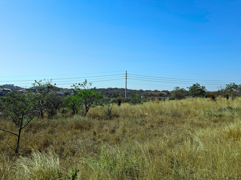 A view of a vacant commercial land plot featuring natural vegetation and overhead power lines against a clear blue sky.