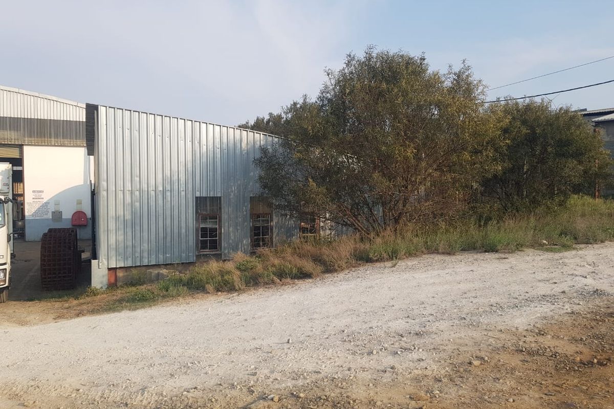 Rear view of an industrial warehouse building featuring corrugated metal cladding and fixed windows, situated on an unpaved site.