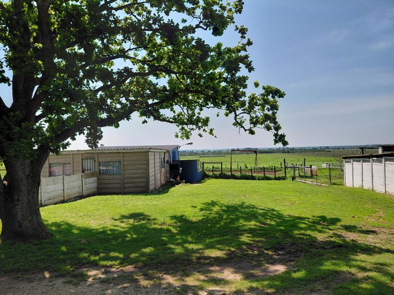 Spacious Family Farm with Two Homes – Rocklands Area - Photo 4