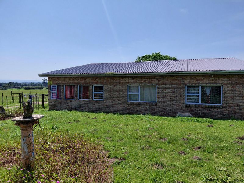 Spacious Family Farm with Two Homes – Rocklands Area - Photo 3