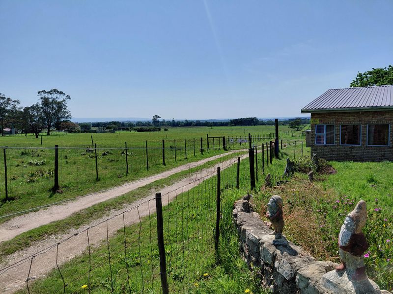 Spacious Family Farm with Two Homes – Rocklands Area - Photo 5