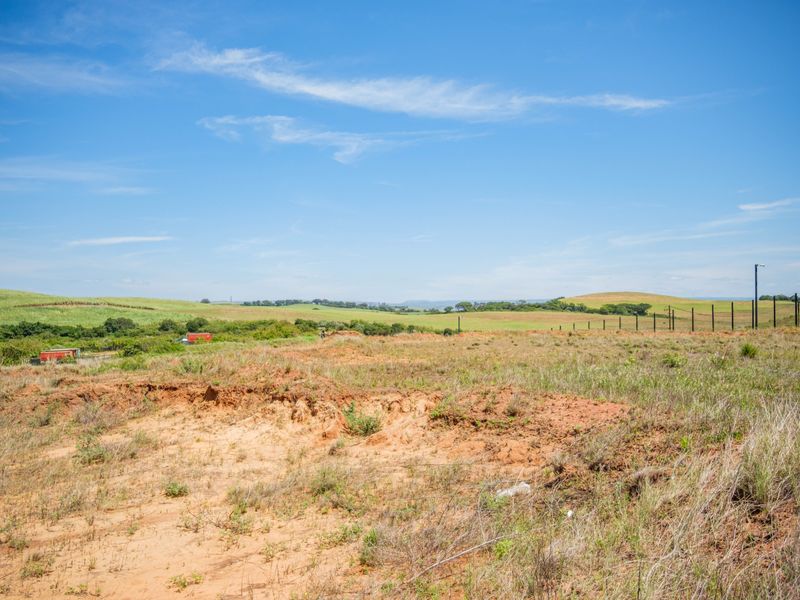 Developer Land for Sale , APEX PUD – GOLD COAST ESTATE - Photo 6