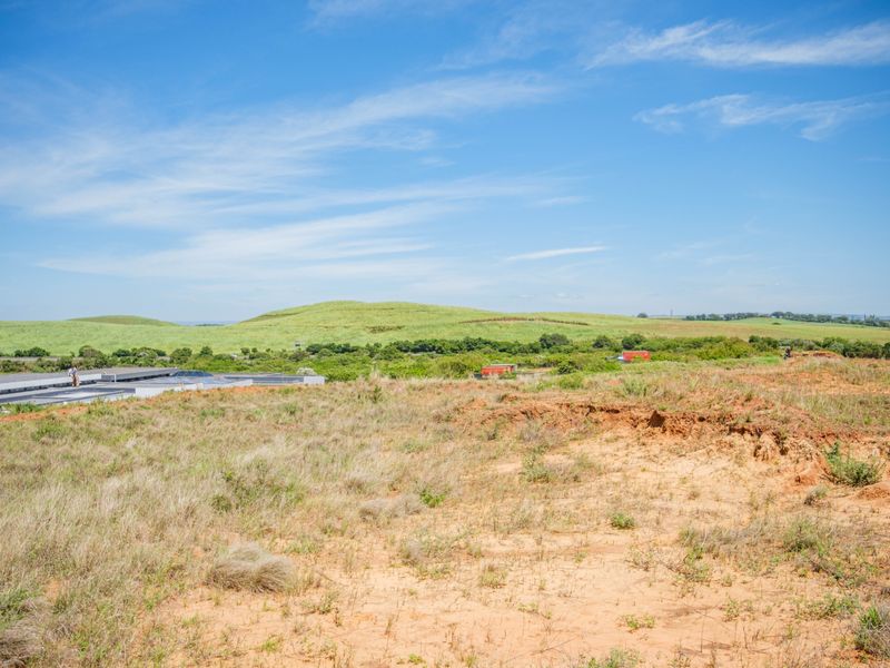 Developer Land for Sale , APEX PUD – GOLD COAST ESTATE - Photo 5