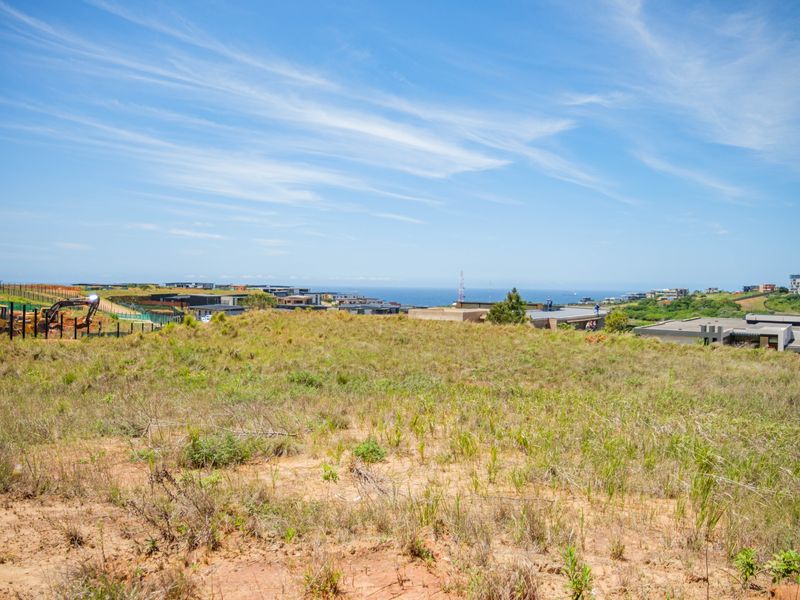 Developer Land for Sale , APEX PUD – GOLD COAST ESTATE - Photo 3