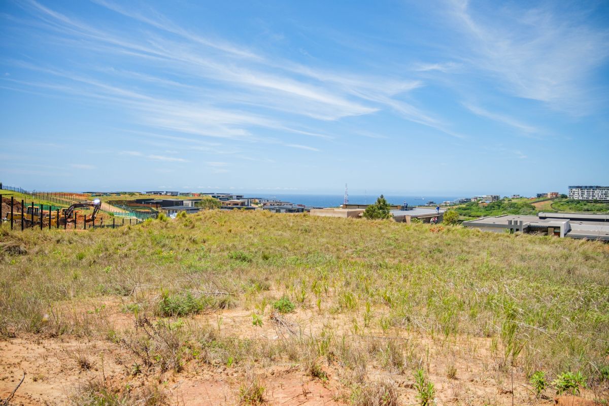 Developer Land for Sale , APEX PUD – GOLD COAST ESTATE - Photo 3