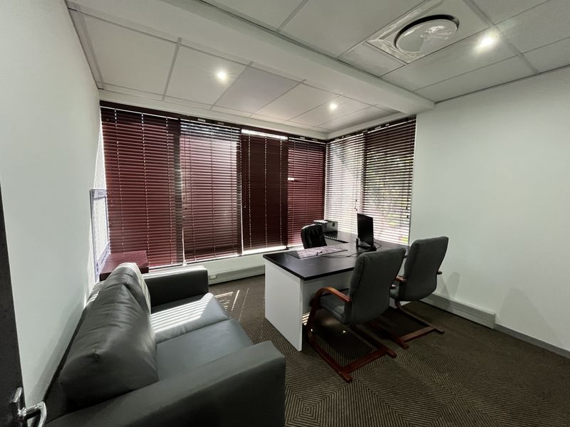 A professional office space featuring a suspended ceiling, recessed lighting, large windows with fitted blinds, and carpeted flooring.