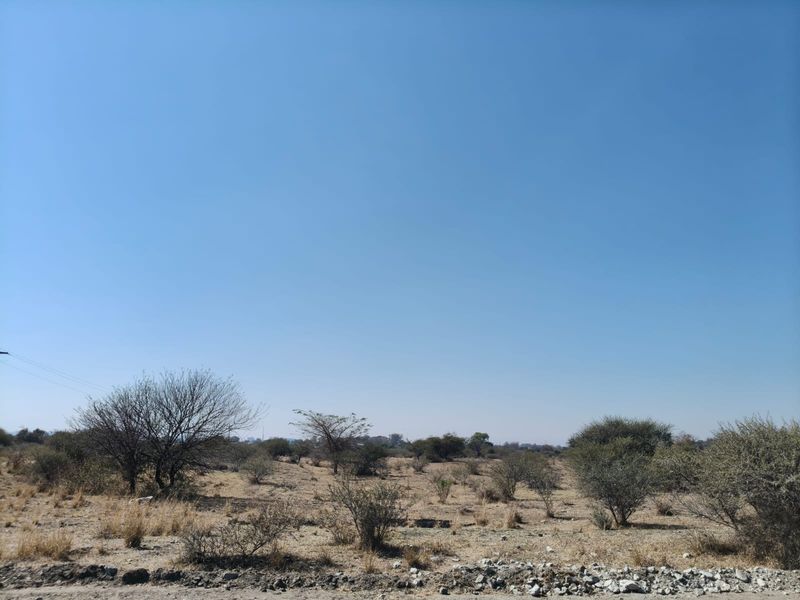 A wide-angle view of the open farm landscape featuring natural vegetation and dry terrain under a clear blue sky.