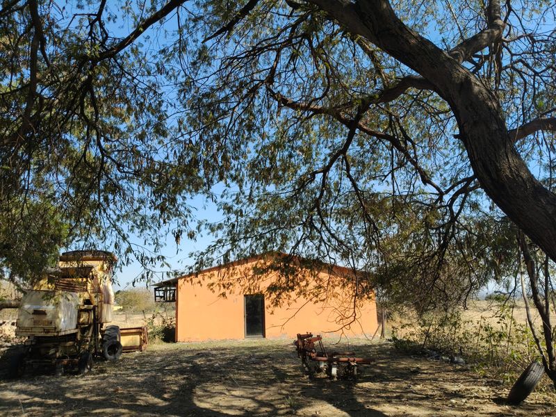 A view of a simple orange-painted farm outbuilding situated on a rural property, framed by large overhanging tree branches.