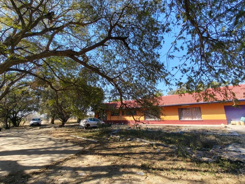 Rear view of a single-story farm dwelling featuring a tiled roof and brick exterior, set within a large, unmaintained garden area.