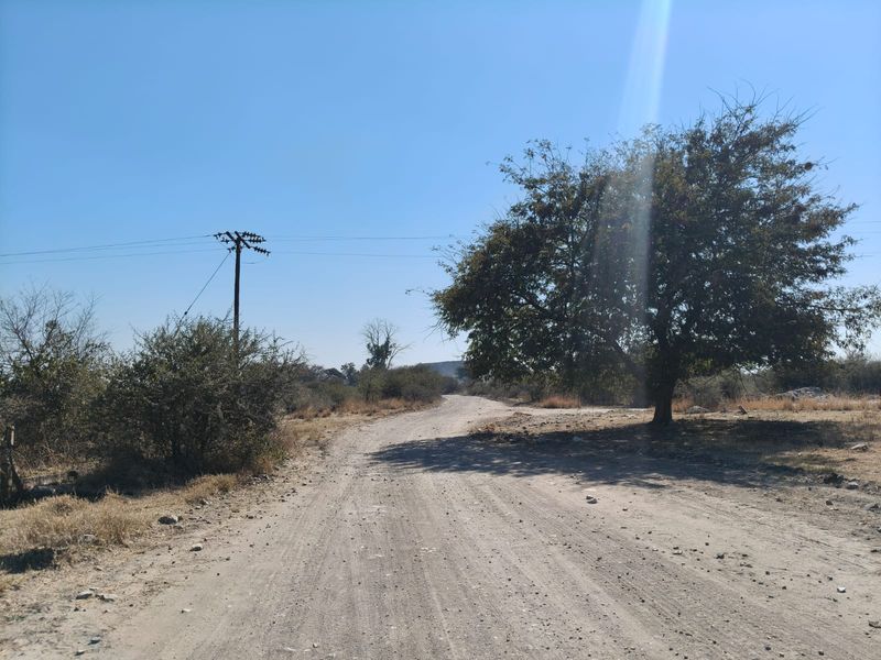 A view of a rural dirt access road leading through the property, featuring a utility pole and natural landscape.