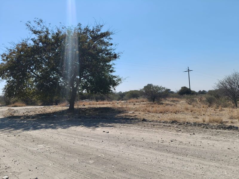 A view of a dirt road leading into the farm property, featuring natural vegetation and an existing utility pole.