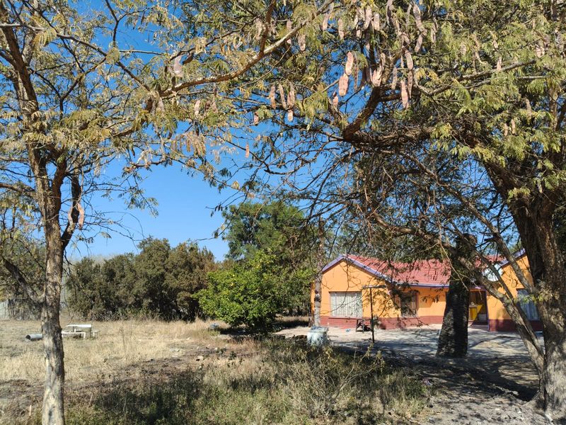 A view of the rear exterior of the farm house, featuring a concrete patio area surrounded by mature trees and natural landscape.