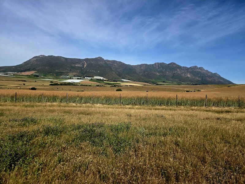 Expansive scenic view of the surrounding farm landscape, featuring open fields and a prominent mountain range in the distance.