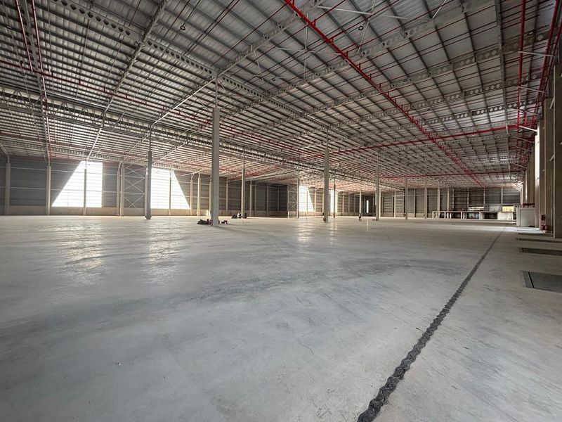 Spacious industrial warehouse featuring high ceilings, polished concrete flooring, and an integrated fire sprinkler system, suitable for logistics or manufacturing operations.
