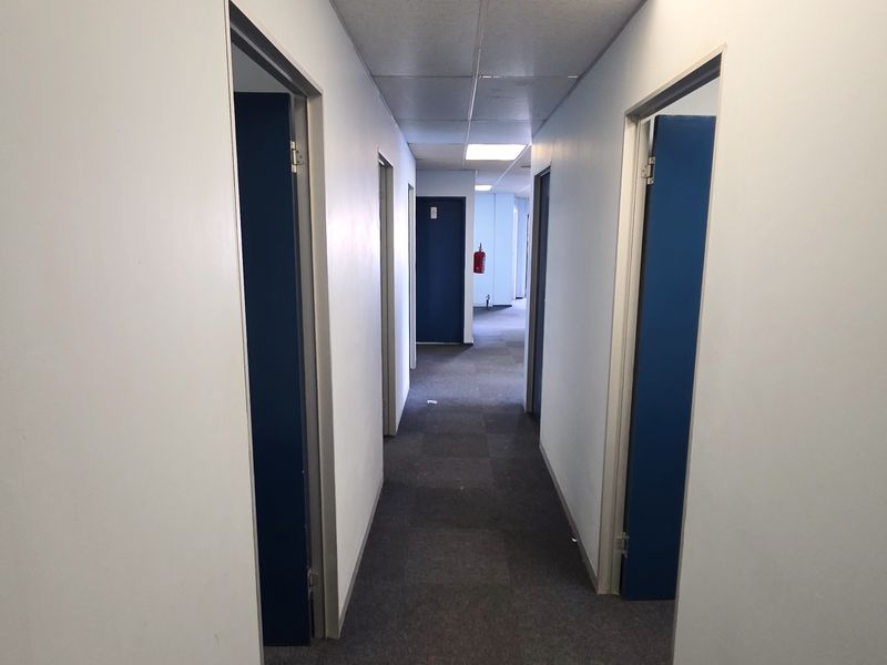 A functional industrial office hallway featuring carpeted flooring, suspended ceiling tiles, and multiple access doors.