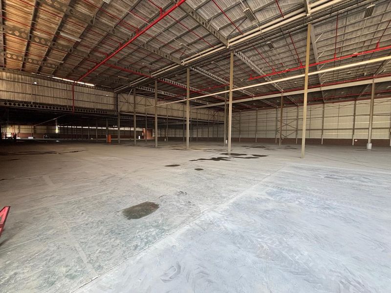 Expansive industrial warehouse space featuring high ceilings with exposed steel trusses, fire sprinkler system, and durable concrete flooring.