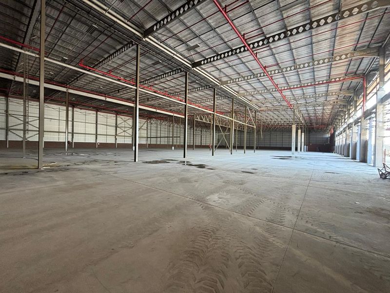 Expansive industrial warehouse space featuring a high-clearance steel portal frame, concrete flooring, and an integrated fire sprinkler system.