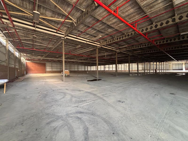 Expansive industrial warehouse space featuring exposed steel roof trusses, fire sprinkler system, and concrete flooring, suitable for storage or manufacturing operations.