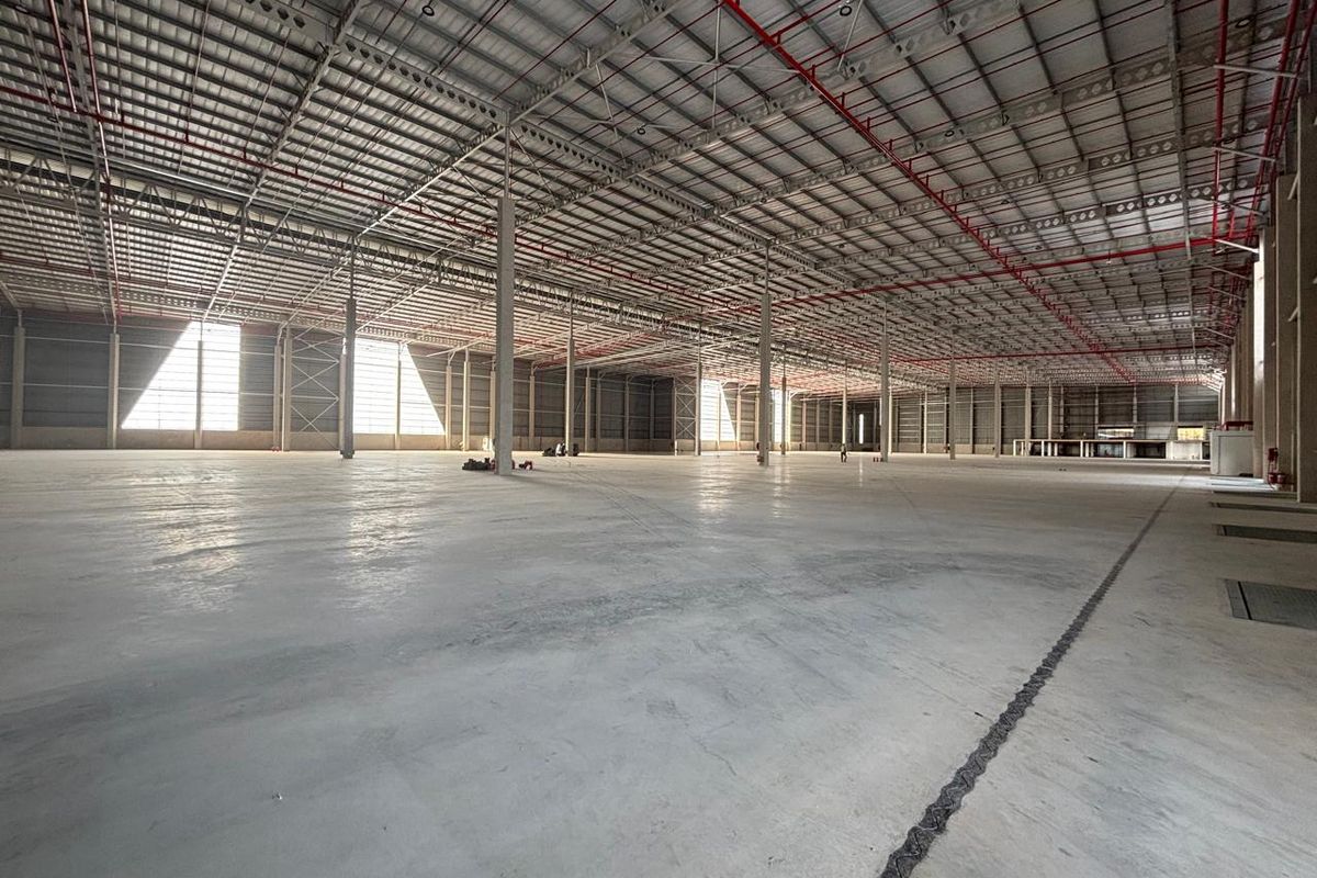 Spacious industrial warehouse featuring high ceilings, polished concrete flooring, and an integrated fire sprinkler system, suitable for logistics or manufacturing operations.