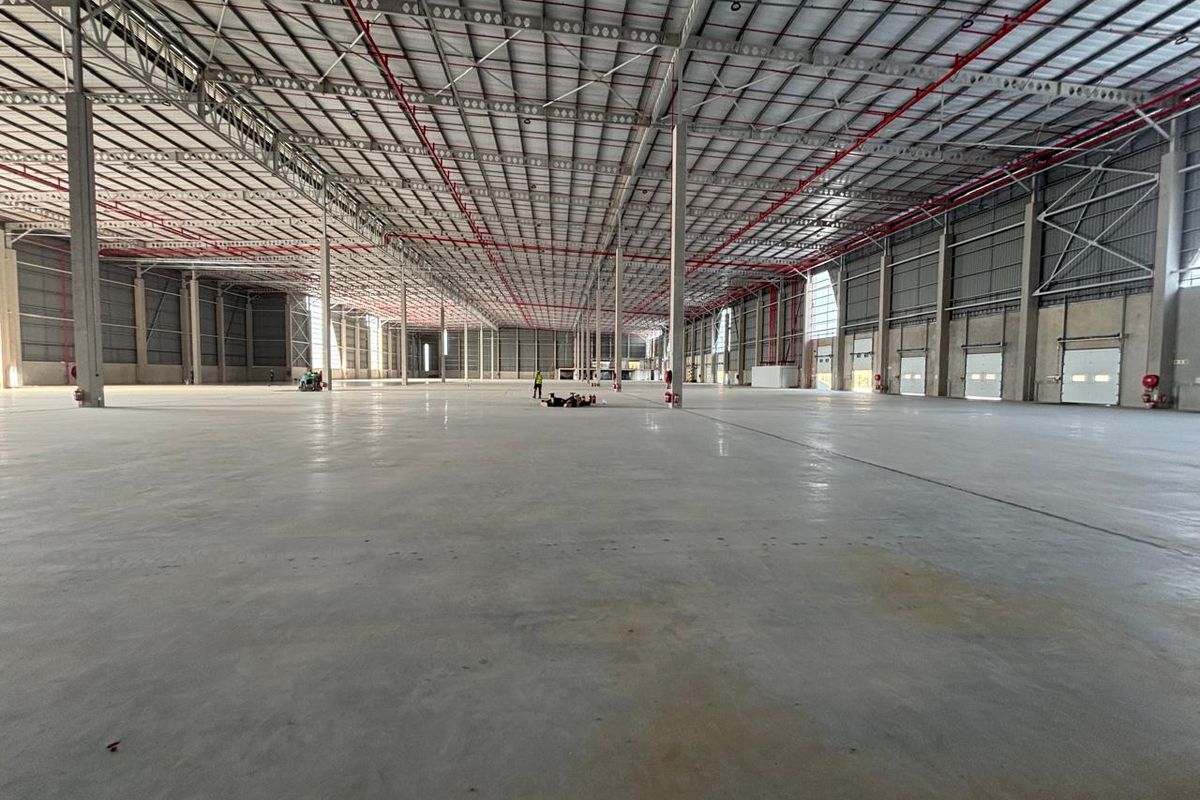 Expansive industrial warehouse space featuring high ceilings, polished concrete flooring, exposed fire suppression systems, and multiple roller shutter access doors.