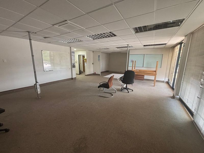 Spacious open-plan office area featuring a suspended ceiling, recessed lighting, carpeted flooring, and large windows with vertical blinds.