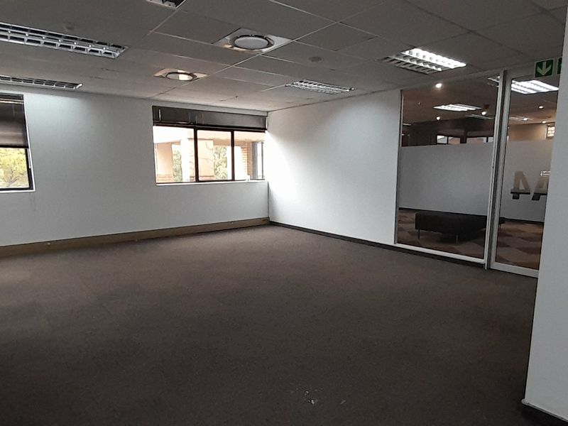 A spacious, empty office suite featuring a suspended ceiling with recessed lighting, carpeted flooring, and a glass partition wall providing natural light.