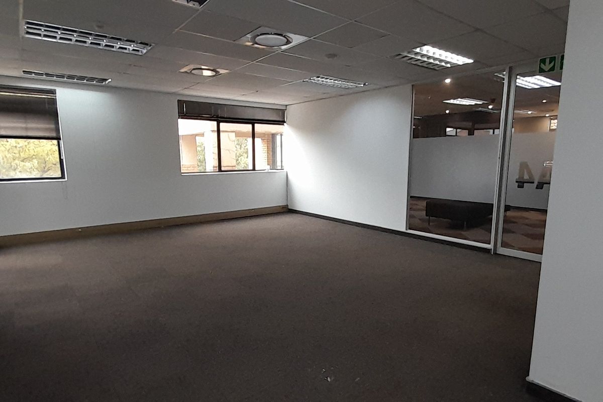 A spacious, empty office suite featuring a suspended ceiling with recessed lighting, carpeted flooring, and a glass partition wall providing natural light.