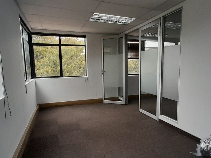An empty office space featuring carpet tiles, suspended ceilings with recessed lighting, and glass partitioning, offering a bright and professional work environment.