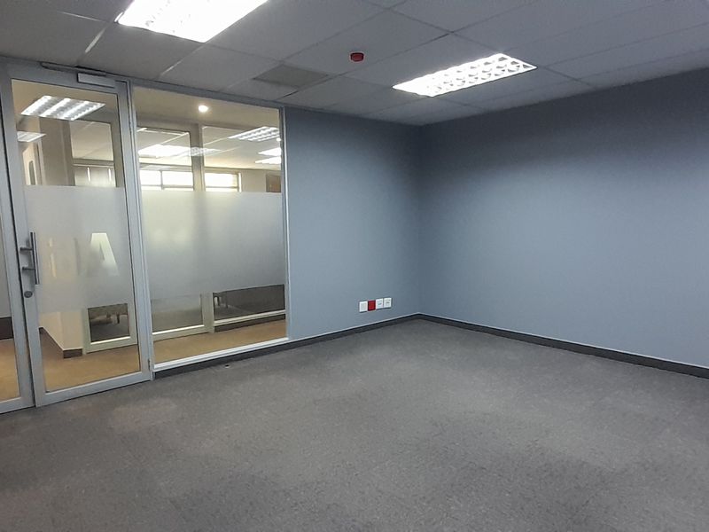 A clean, empty office space featuring grey walls, carpeted flooring, a suspended ceiling with recessed lighting, and a modern glass partition entrance.
