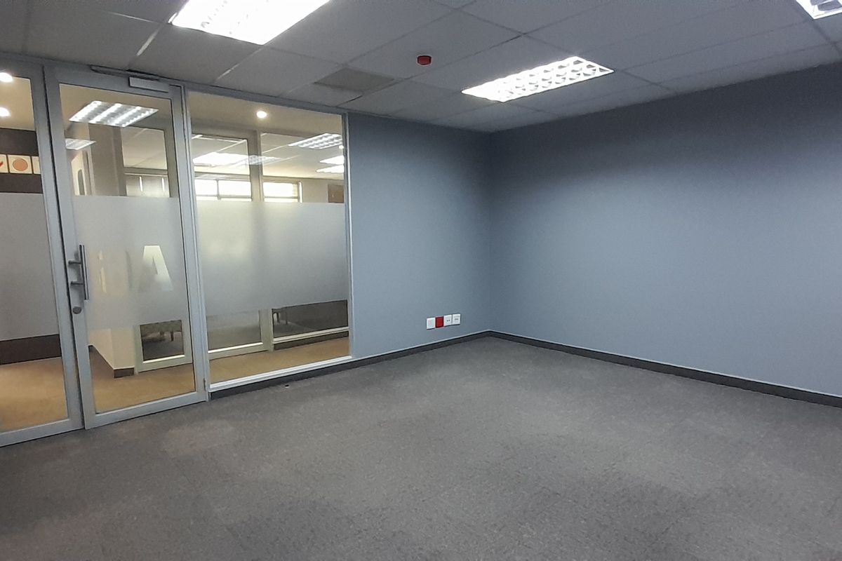A clean, empty office space featuring grey walls, carpeted flooring, a suspended ceiling with recessed lighting, and a modern glass partition entrance.