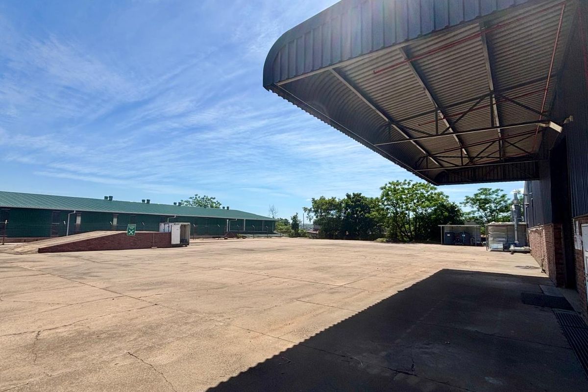 Expansive commercial concrete yard featuring a large metal roof canopy and a loading ramp, suitable for industrial or logistics operations.