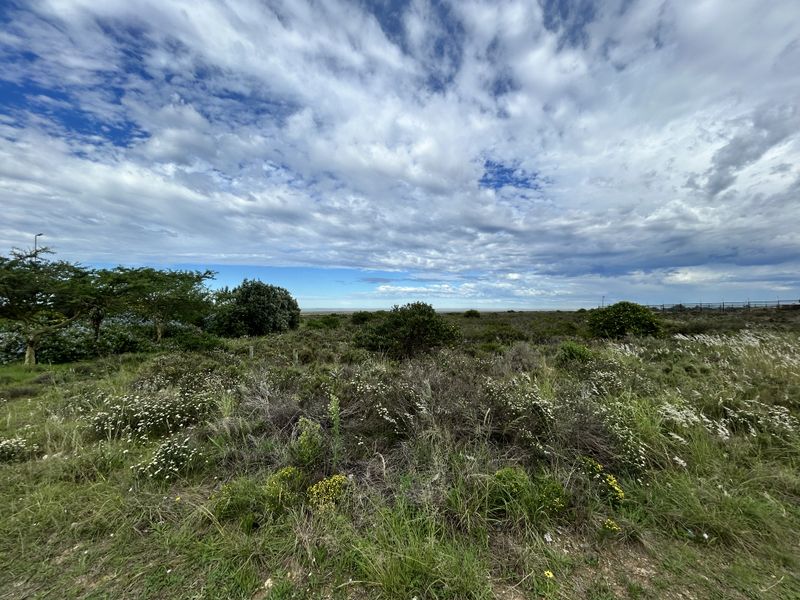 A wide-angle view of a vacant commercial land plot featuring natural vegetation and open landscape under a cloudy sky.